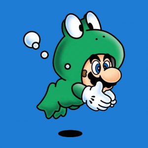 Frog Mario 01.jpg