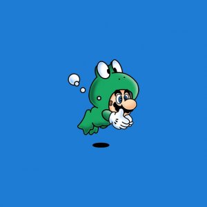 Frog Mario 02.jpg