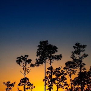 Sunset.jpg