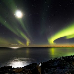 d3202cd5-34aa-4f38-afe6-9517d6f5dbbe_astronomy-photography-Comet-PANSTARRS-Ing-lfur-Bjargmundsso.jpg