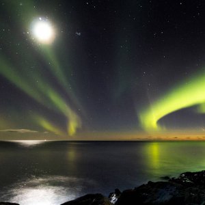 Comet Stars.jpg