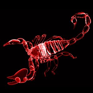 Scorpion red.jpg
