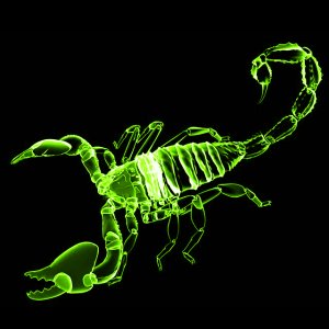 Scorpion green.jpg