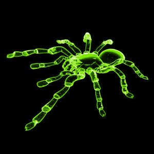 Tarantula green.jpg