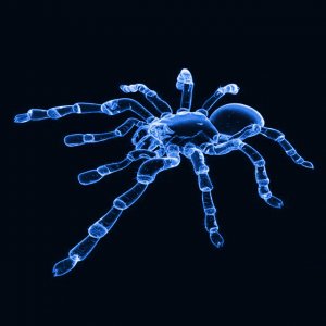 Tarantula blue.jpg