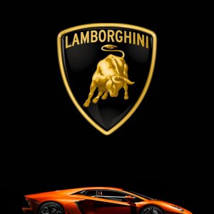 Lamborghini 02.jpg