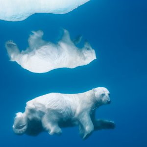 NatGeo 02.jpg