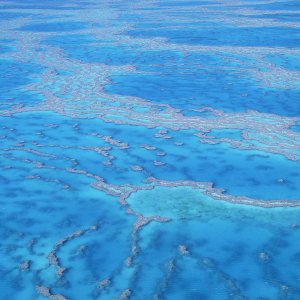 Aerial 06.jpg