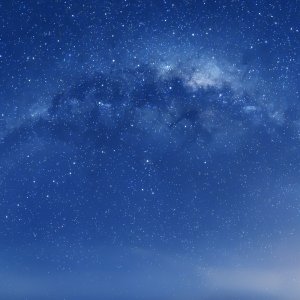 Cosmos 03.jpg