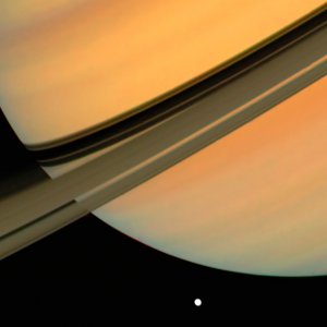 Cosmos 05.jpg
