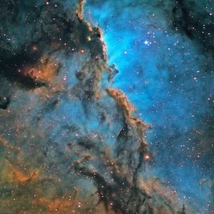 Cosmos 09.jpg