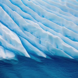 NaturePatterns 02.jpg