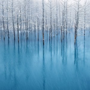 NaturePatterns 08.jpg