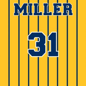Indiana Pacers 02.jpg