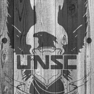 UNSC 02.jpg