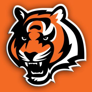 Bengals 03.jpg