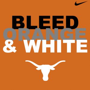Longhorns.jpg