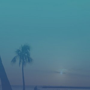Blue Palms.jpg