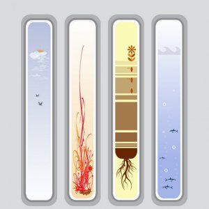 Element Sticks.jpg