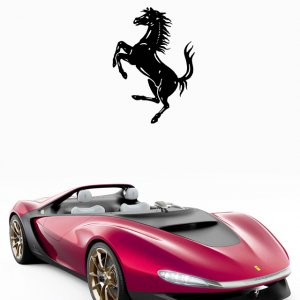 Ferrari-Sergio 06.jpg