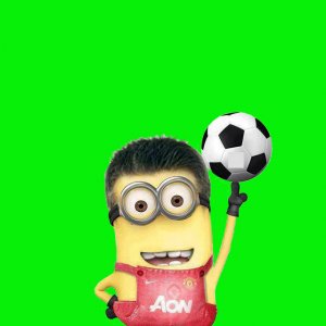 Minion 01.jpg