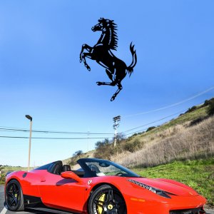 Ferrari Spider.jpg