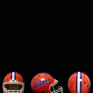 Florida Gators 01.jpg