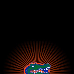 Florida Gators 02.jpg