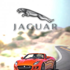Jaguar logo.jpg