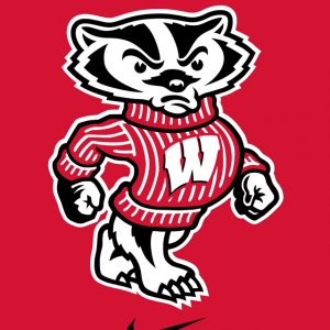 Badgers Nike 01.jpg