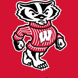 Badgers 03.jpg