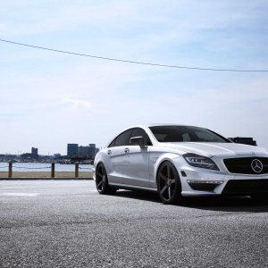 Mercedes Benz_CLS_VVSCV3_c44.jpg