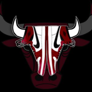 Bulls Nike 05.jpg