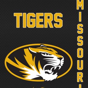 Missouri Tigers 01.jpg