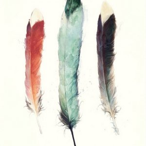 Feathers.JPG