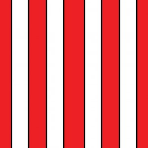 iPad 2 mini stripes.jpg