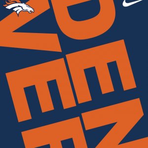 Denver Broncos 02.jpg