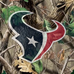 Houston Texans 01.jpg