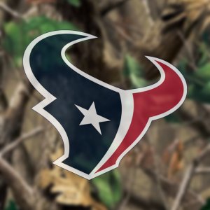 Houston Texans 02.jpg