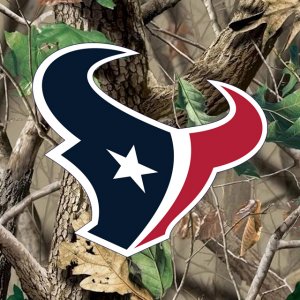 Houston Texans 03.jpg