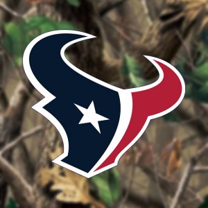 Houston Texans 04.jpg