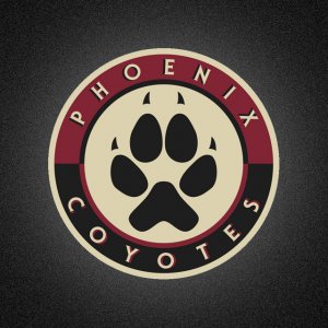 Phoenix Coyotes 01.jpg