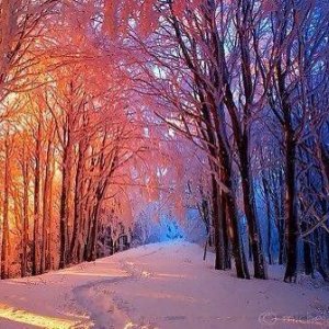 peaceful sunrise.jpg