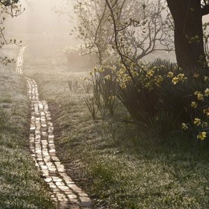 Garden Path.jpg