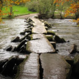 Creek Path.jpg
