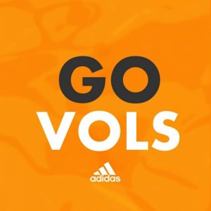 Adidas Vols.jpg