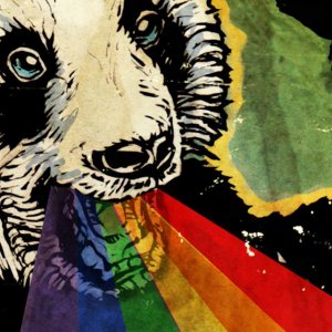 Panda.jpg