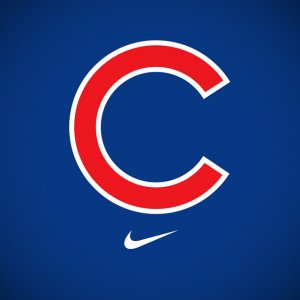 Cubs 02 iP4.jpg