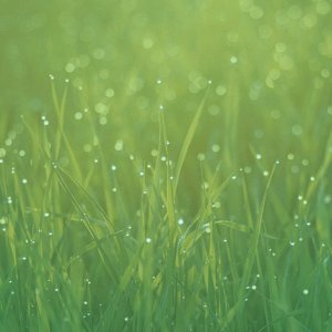 iOS6_Wallpaper_Droidviews_3.jpeg