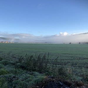 IMG_4836.jpg